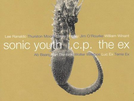 SONIC YOUTH I.C.P. EX  - IN THE FISHTANK Hot on Sale