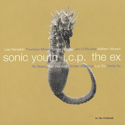 SONIC YOUTH I.C.P. EX  - IN THE FISHTANK Hot on Sale