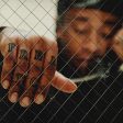 TY DOLLA $IGN - FREE TC Fashion